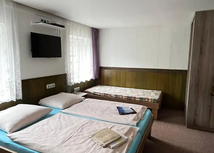 U Zemanku Pensionat