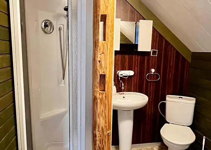U Zemanku Pensionat 3*