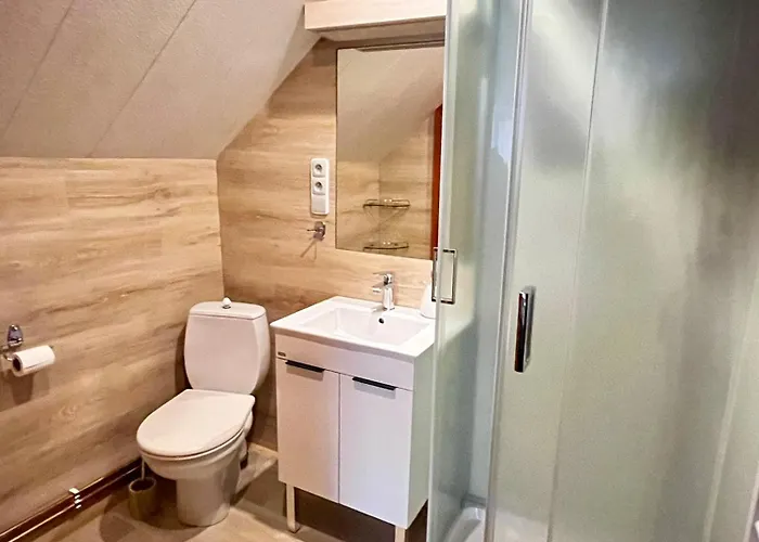 U Zemanku Pensionat 3*