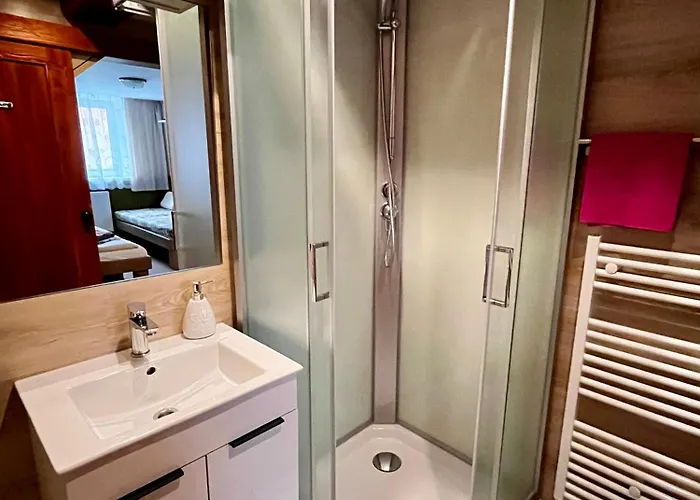U Zemanku Pensionat 3*